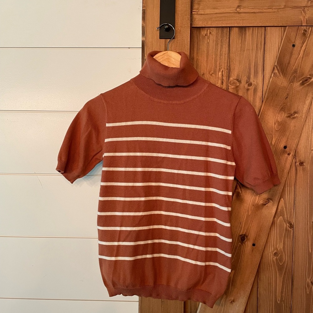 Vigoss Striped Rust Turtleneck Sweater